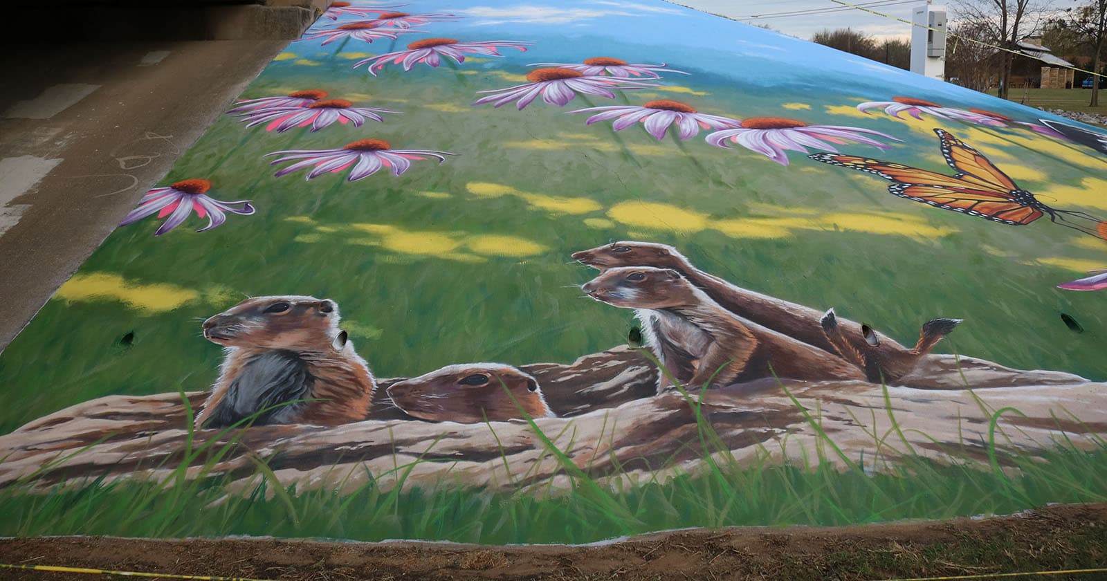 How Much Does a Mural Cost? A Muralist's Honest Breakdown